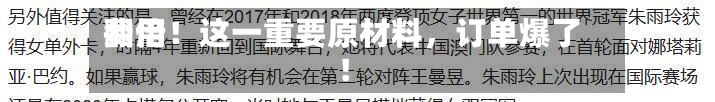 费用翻倍！这一重要原材料	，订单爆了！-第3张图片