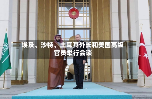 埃及、沙特	、土耳其外长和美国高级官员举行会谈-第3张图片