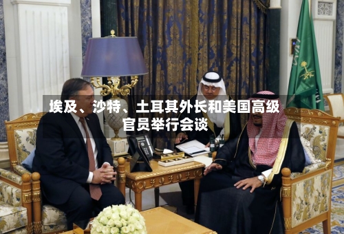 埃及	、沙特、土耳其外长和美国高级官员举行会谈-第2张图片