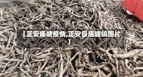 【正安庙塘疫情,正安县庙塘镇图片】-第2张图片