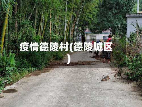 疫情德陵村(德陵城区)-第3张图片