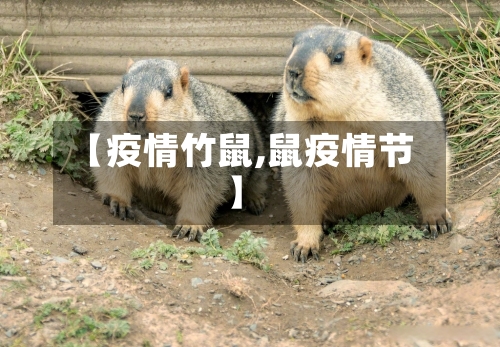 【疫情竹鼠,鼠疫情节】-第2张图片