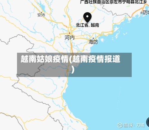 越南姑娘疫情(越南疫情报道)