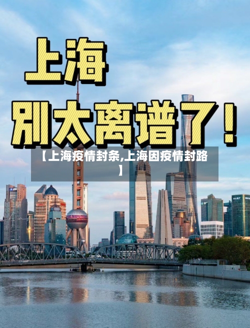 【上海疫情封条,上海因疫情封路】-第3张图片