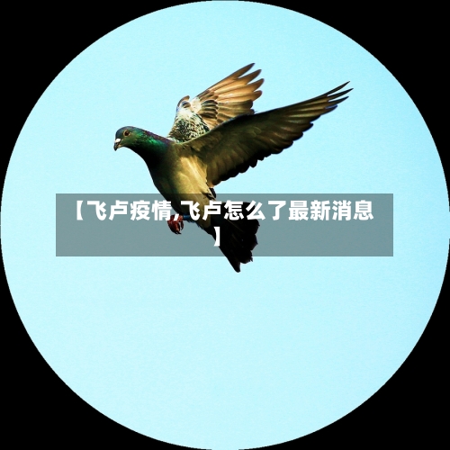 【飞卢疫情,飞卢怎么了最新消息】-第2张图片