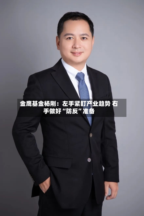 金鹰基金杨刚：左手紧盯产业趋势 右手做好“防反”准备-第3张图片