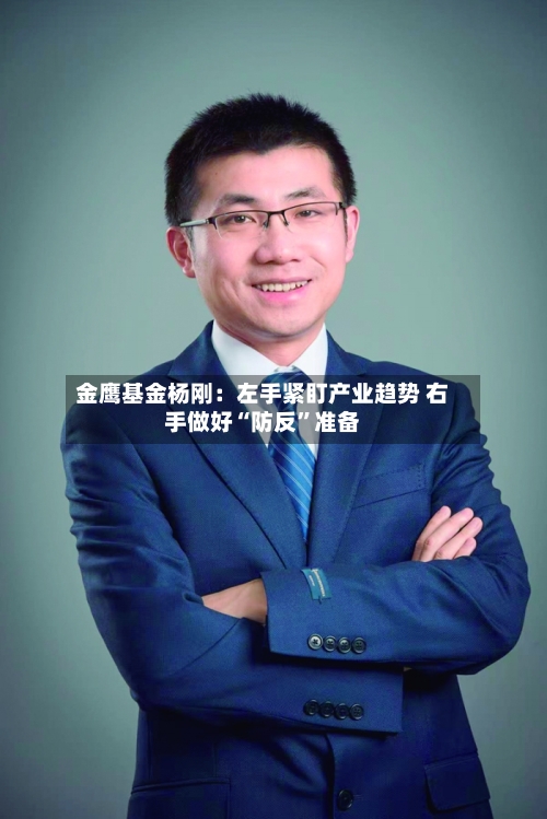 金鹰基金杨刚：左手紧盯产业趋势 右手做好“防反”准备-第2张图片