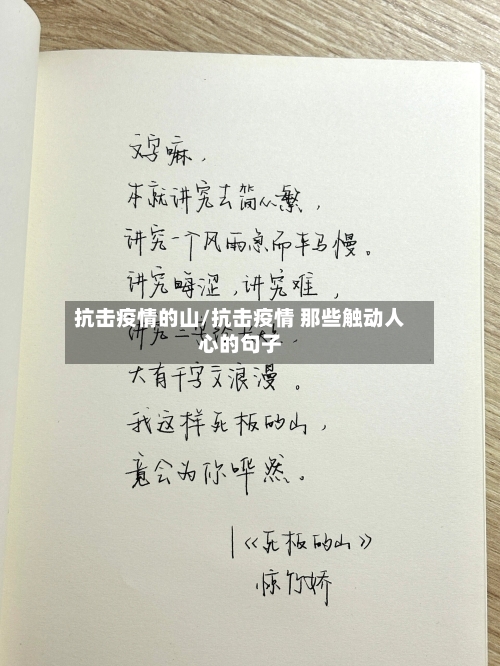 抗击疫情的山/抗击疫情 那些触动人心的句子