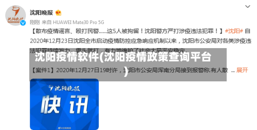 沈阳疫情软件(沈阳疫情政策查询平台)