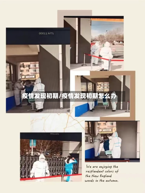 疫情发现初期/疫情发现初期怎么办-第3张图片