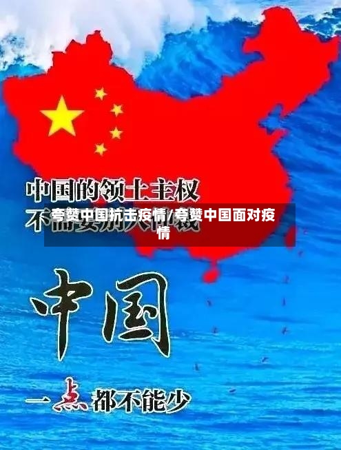 夸赞中国抗击疫情/夸赞中国面对疫情