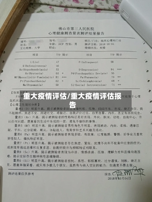 重大疫情评估/重大疫情评估报告