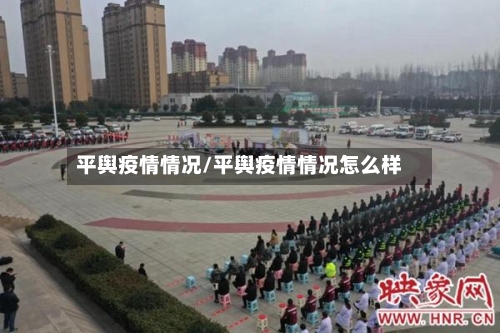 平舆疫情情况/平舆疫情情况怎么样-第2张图片