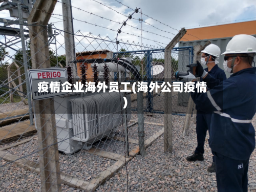 疫情企业海外员工(海外公司疫情)-第2张图片