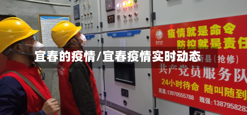 宜春的疫情/宜春疫情实时动态-第3张图片