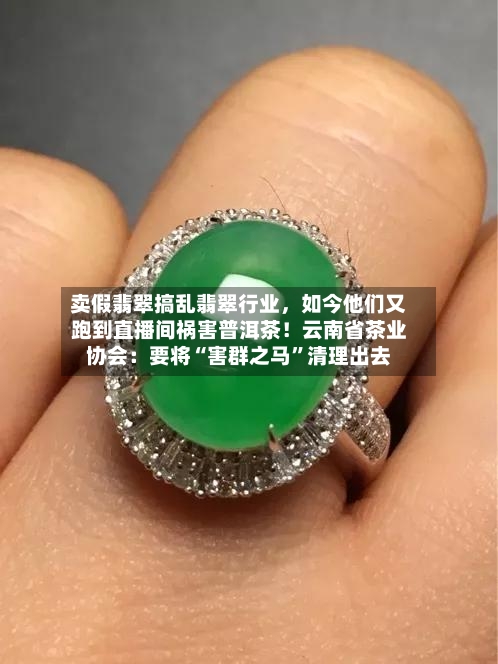 卖假翡翠搞乱翡翠行业，如今他们又跑到直播间祸害普洱茶！云南省茶业协会：要将“害群之马”清理出去-第3张图片