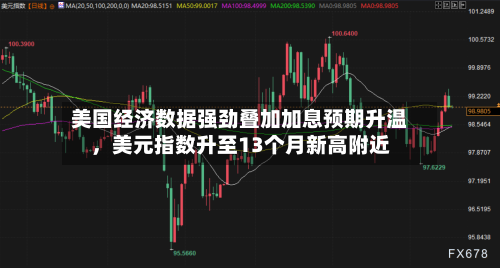 美国经济数据强劲叠加加息预期升温，美元指数升至13个月新高附近