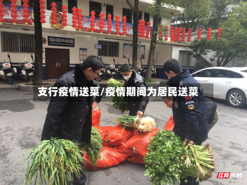 支行疫情送菜/疫情期间为居民送菜-第2张图片