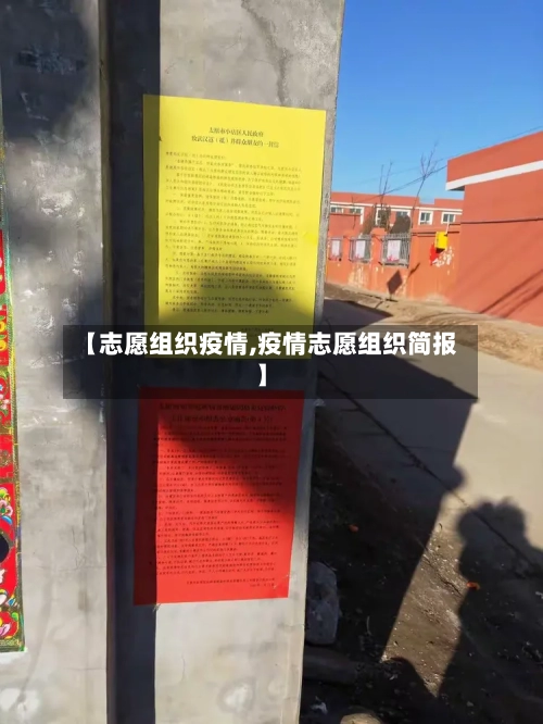 【志愿组织疫情,疫情志愿组织简报】-第2张图片