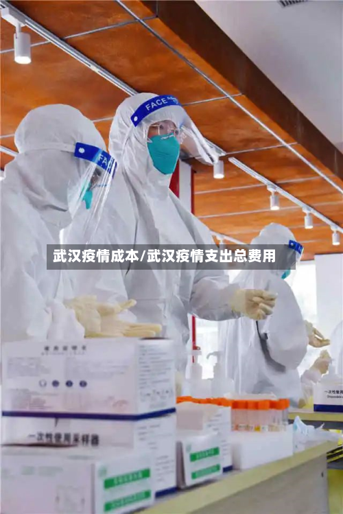 武汉疫情成本/武汉疫情支出总费用-第3张图片