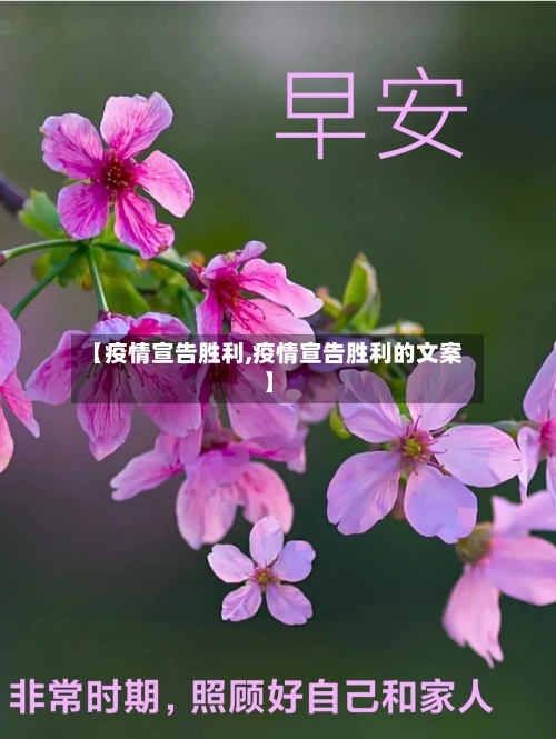 【疫情宣告胜利,疫情宣告胜利的文案】
