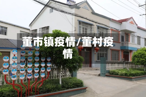 董市镇疫情/董村疫情