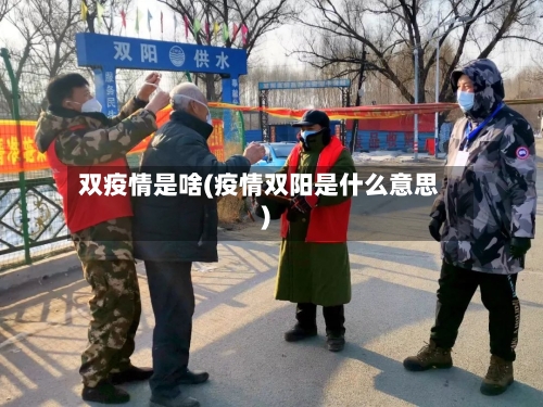 双疫情是啥(疫情双阳是什么意思)-第3张图片