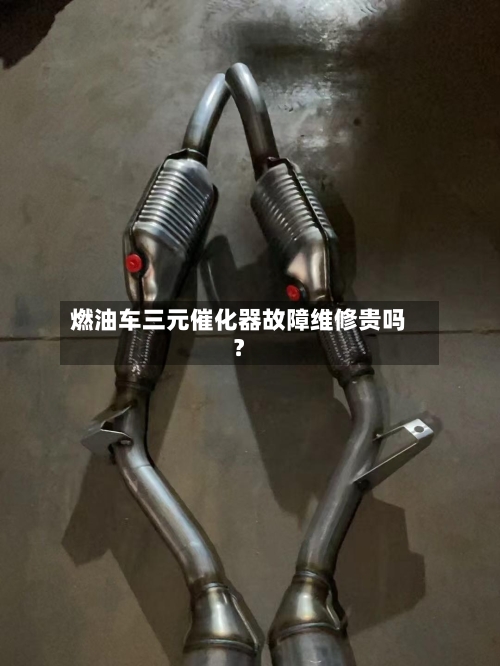 燃油车三元催化器故障维修贵吗？-第2张图片