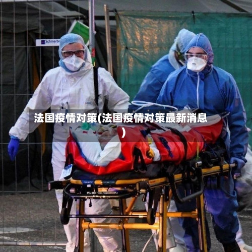 法国疫情对策(法国疫情对策最新消息)-第2张图片