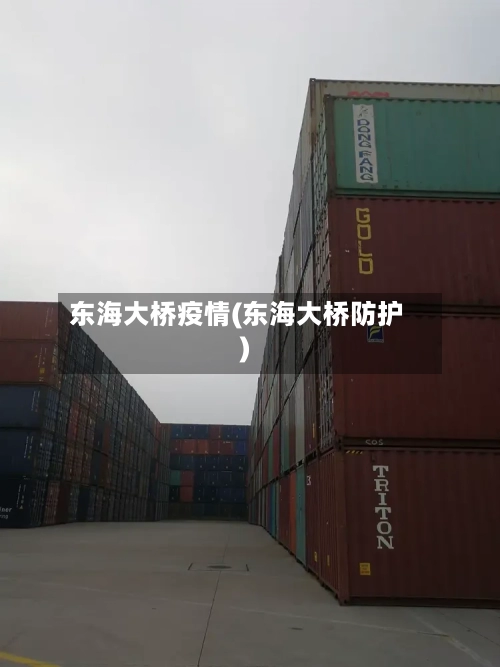 东海大桥疫情(东海大桥防护)-第2张图片