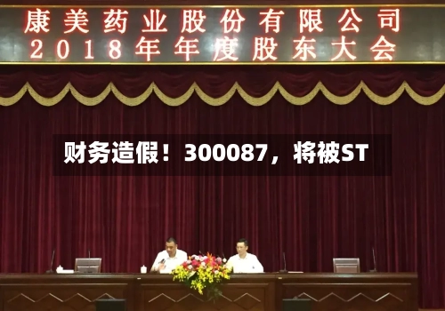 财务造假！300087，将被ST-第2张图片