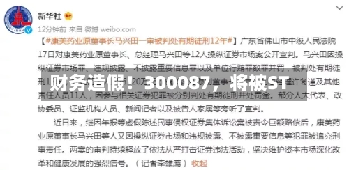 财务造假！300087，将被ST-第3张图片