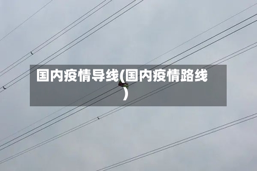 国内疫情导线(国内疫情路线)-第3张图片