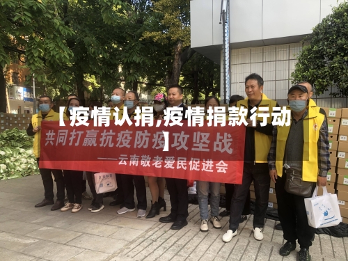 【疫情认捐,疫情捐款行动】