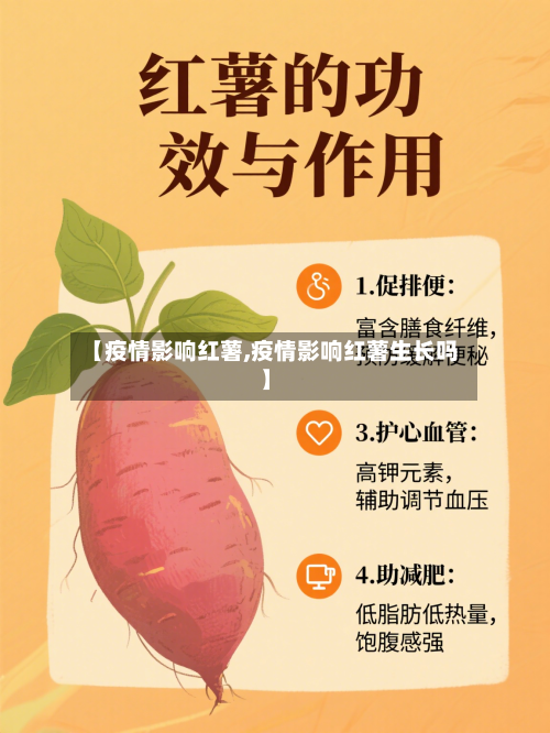 【疫情影响红薯,疫情影响红薯生长吗】