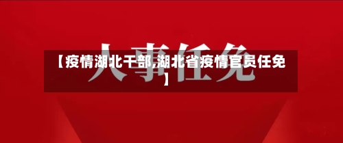 【疫情湖北干部,湖北省疫情官员任免】-第2张图片