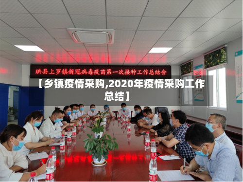 【乡镇疫情采购,2020年疫情采购工作总结】