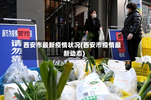 西安市最新疫情状况(西安市疫情最新动态)-第2张图片