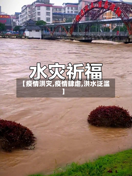 【疫情洪灾,疫情肆虐,洪水泛滥】-第3张图片