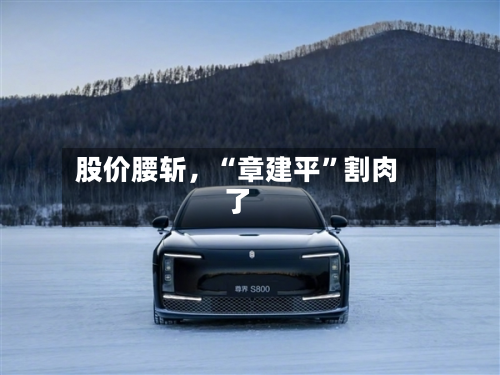 股价腰斩，“章建平”割肉了-第2张图片