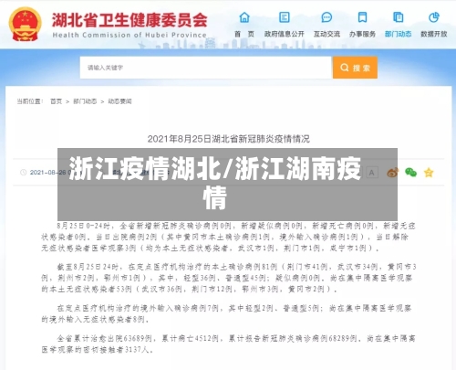 浙江疫情湖北/浙江湖南疫情