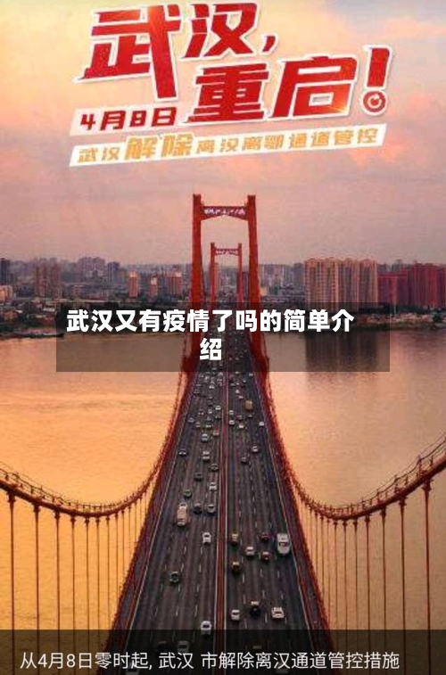 武汉又有疫情了吗的简单介绍