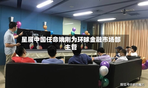 星展中国任命姚刚为环球金融市场部主管-第3张图片