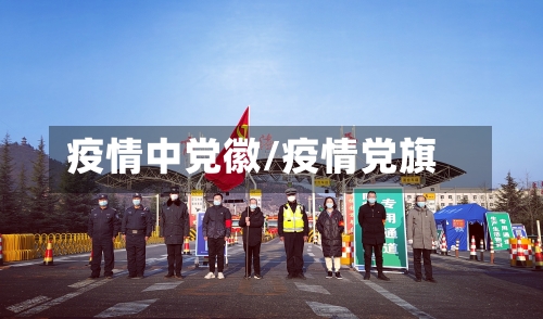 疫情中党徽/疫情党旗