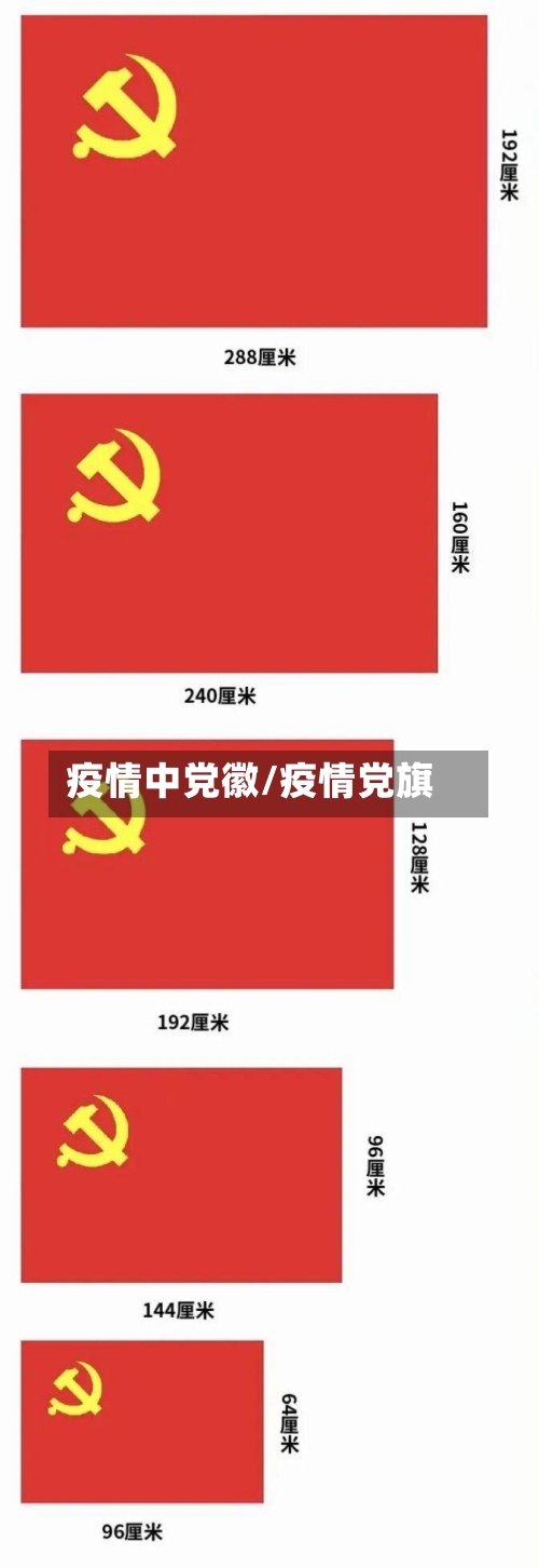 疫情中党徽/疫情党旗-第3张图片