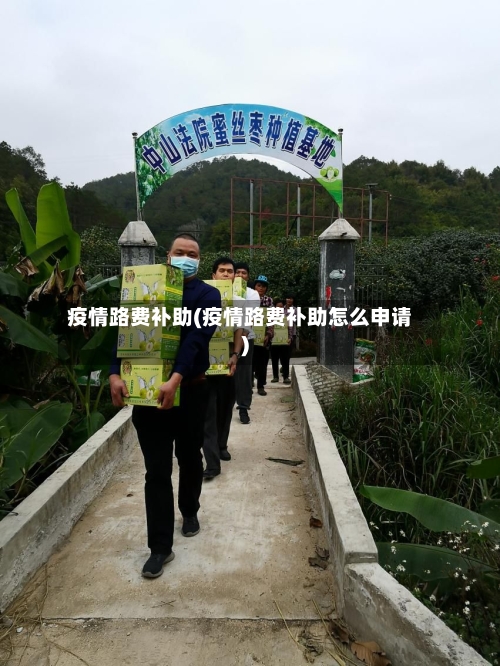 疫情路费补助(疫情路费补助怎么申请)-第2张图片