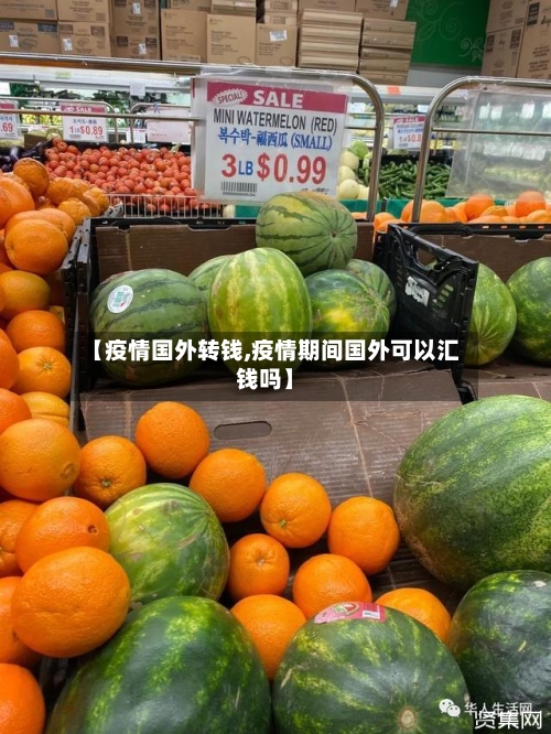 【疫情国外转钱,疫情期间国外可以汇钱吗】-第2张图片