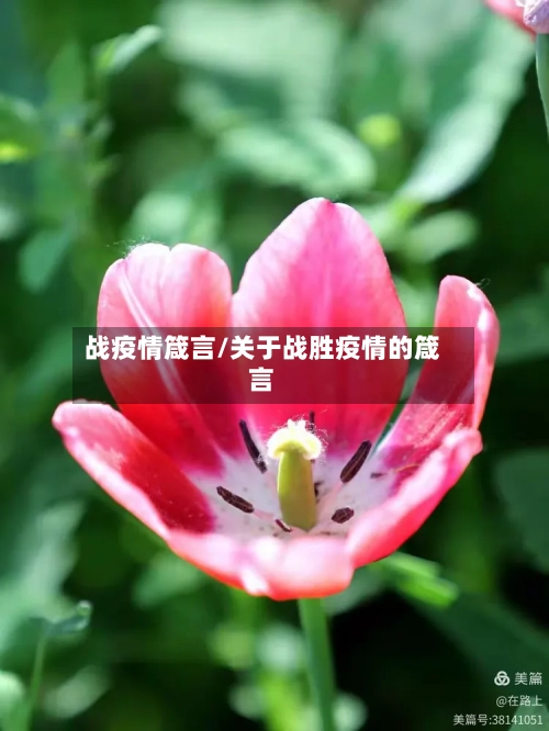 战疫情箴言/关于战胜疫情的箴言-第2张图片