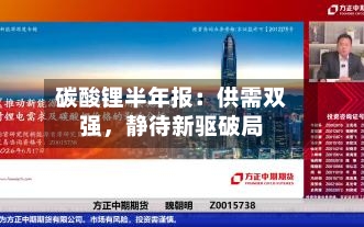碳酸锂半年报：供需双强	，静待新驱破局-第2张图片