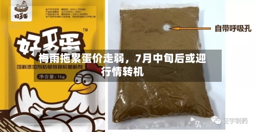 梅雨拖累蛋价走弱，7月中旬后或迎行情转机-第2张图片